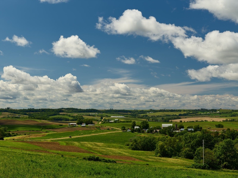 Rolling Farmland