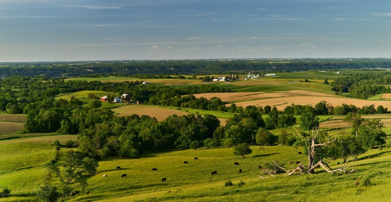Farms In Mississippi River Valley