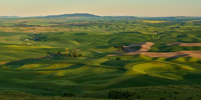 The Palouse
