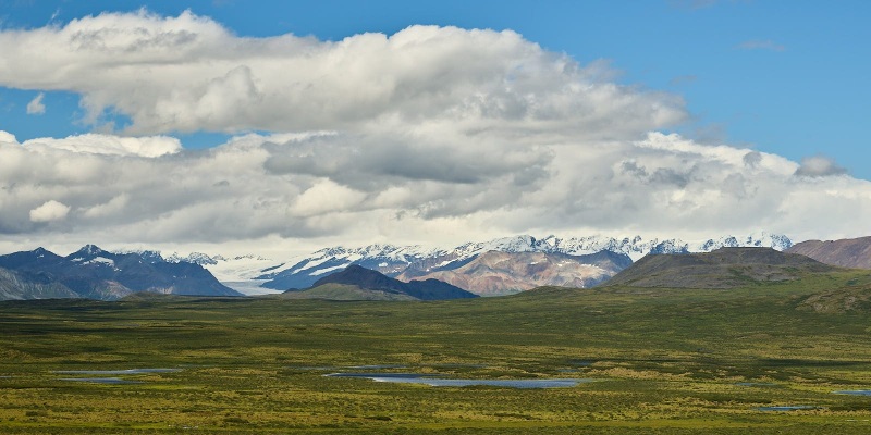 Alaska Range, Glaciers & Tundra