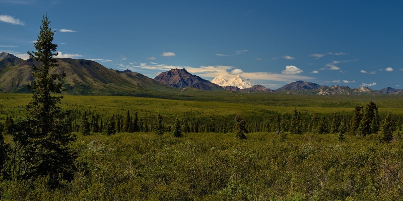 Long Distance View Of Denali
