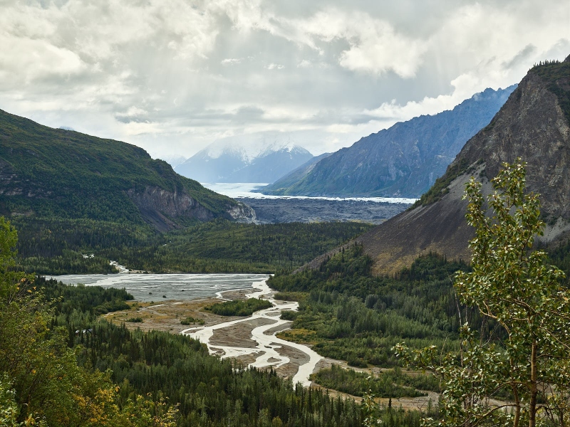 Matanuska Glacier, Matanuska River & Caribou Creek Confluence