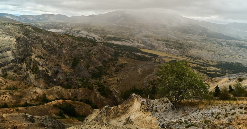 Mount St. Helens Pumice Plain