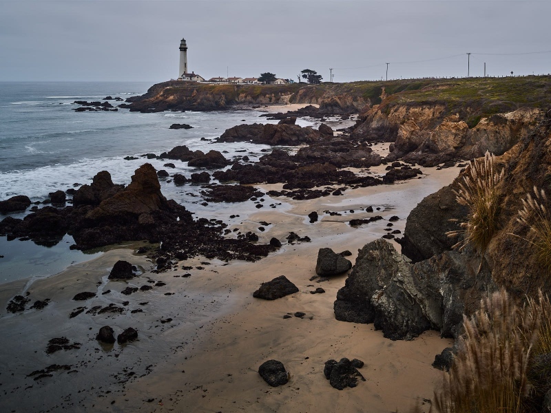 Pigeon Point Lighthouse & Whaler's Cove