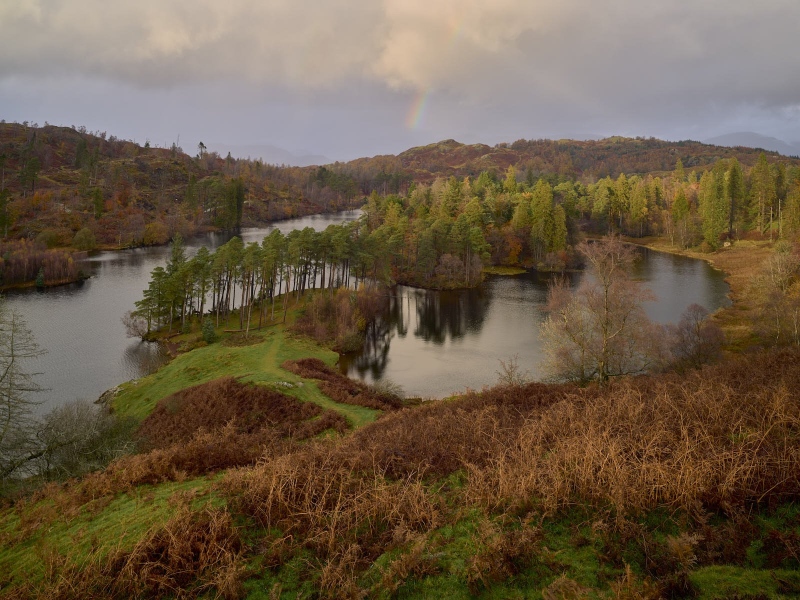 Tarn Hows
