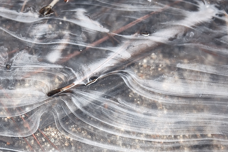 Swirls In Thin Ice, Swinging Bridge, Yosemite Valley, Yosemite National Park, California