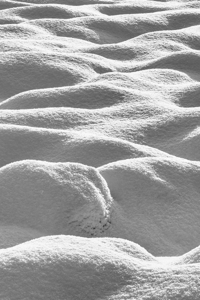 Show Covered Meadow Grasses, Cooks Meadow, Yosemite Valley, Yosemite National Park, California