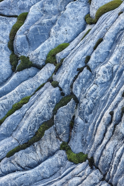 Moss In River Rock Cracks, Merced River Canyon, Sierra National Forest, California