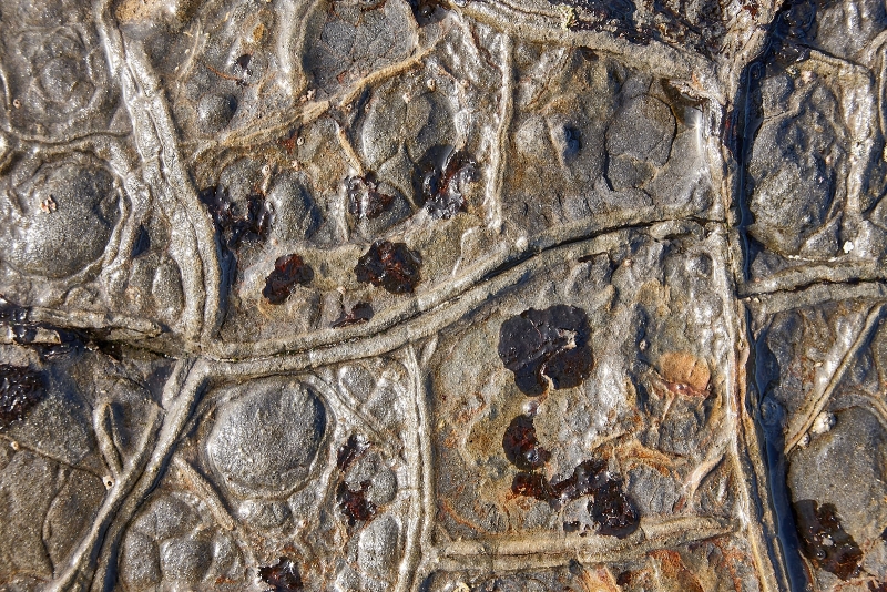 Weird Surfaced Shore Rock, Weston Beach, Point Lobos State Natural Reserve, California
