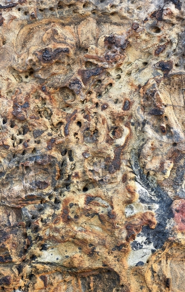 Weird Surfaced Shore Rock Wall, Weston Beach, Point Lobos State Natural Reserve, California