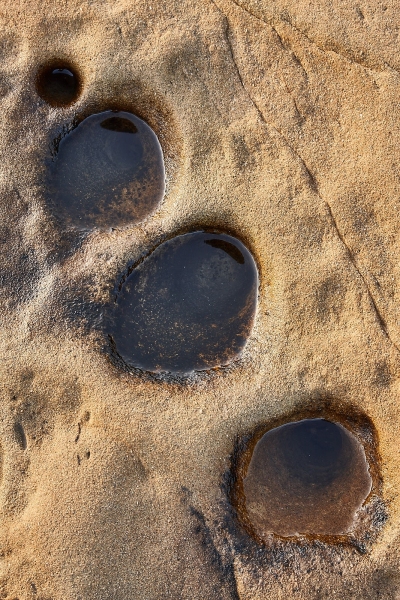Potholed Rock, Weston Beach, Point Lobos State Natural Reserve, California