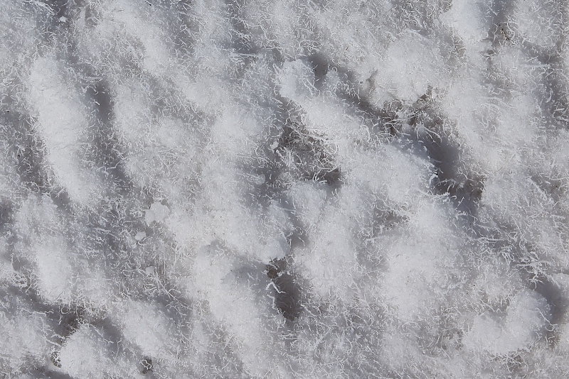 Salt Crystals In Salt Pan, Badwater Basin, Death Valley National Park, California