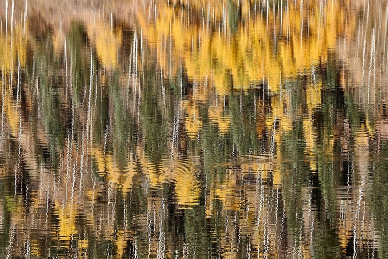 Reflections In The Ripples, Crystal Lake, Million Dollar Hwy, Uncompahgre National Forest, Colorado