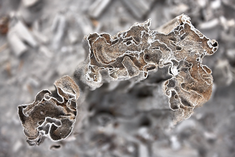 Broken Sand Tufa Cross Section, South Shore, Mono Lake, California