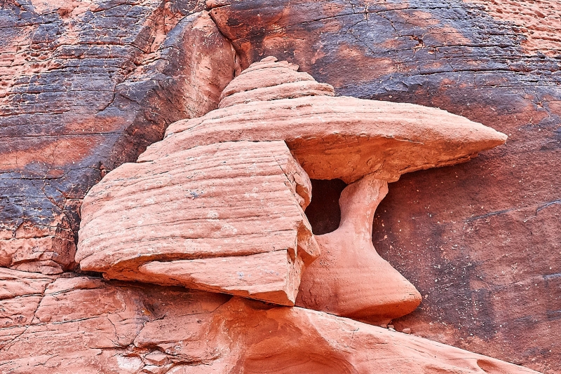 Natures Cameo, Petroglyph Canyon Trail, Valley Of Fire State Park, Nevada