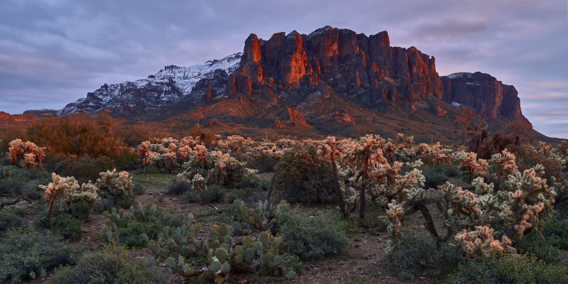Sunset Chollas Below Superstition Mountain