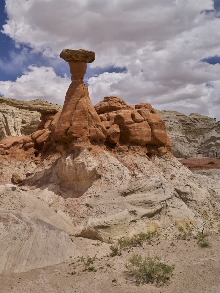 Toadstool Hoodoos