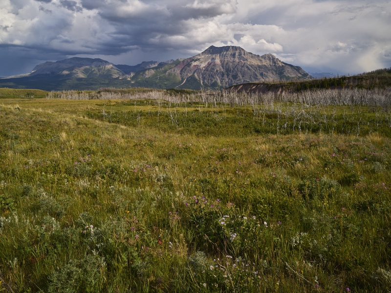 Vimy Peak & Sofa Mountain