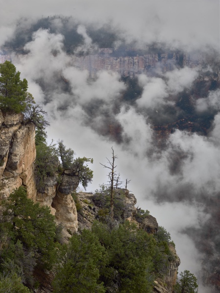 Foggy Canyon