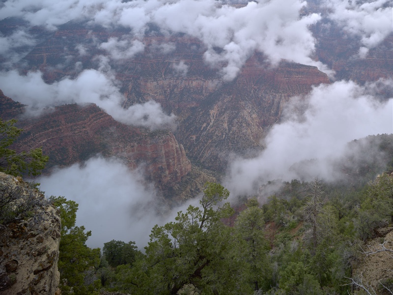 Foggy Canyon