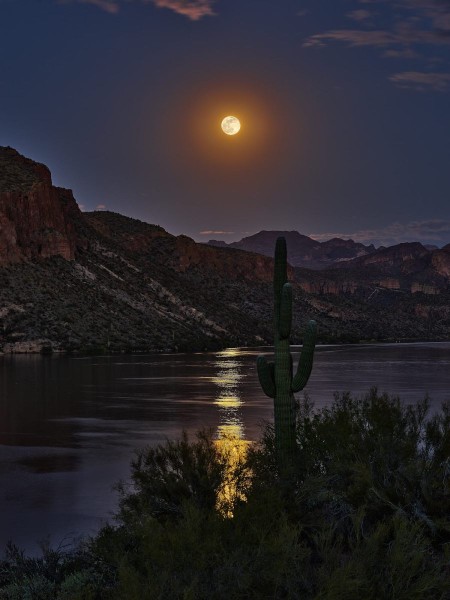 Supermoon ’Pink Moon’ Rising Over Canyon Lake