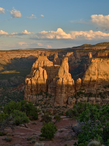 Pipe Organ & Wedding Canyon
