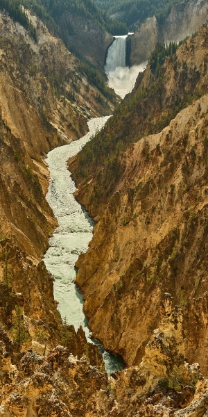 Grand Canyon Of The Yellowstone & Lower Falls Of The Yellowstone River