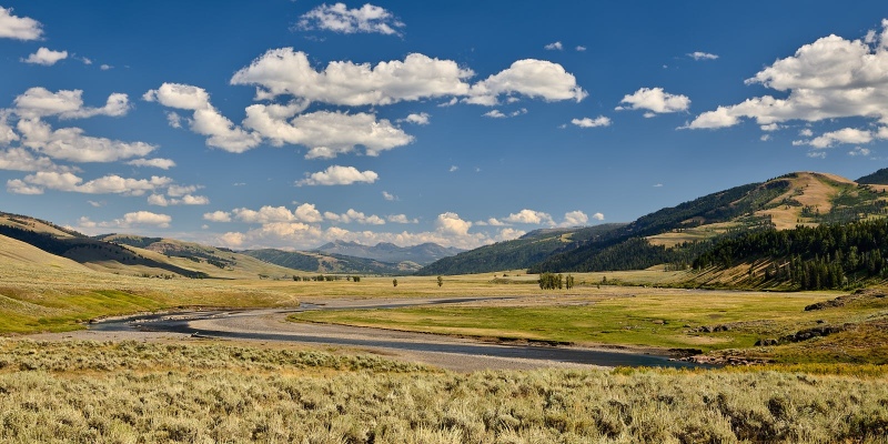 Lamar Valley