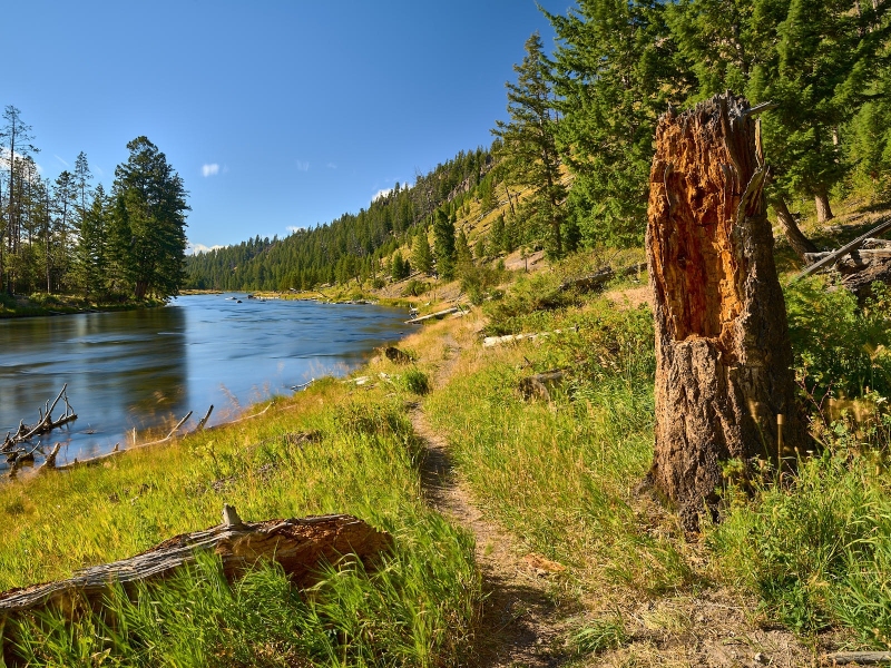 Path Along The River, Madison River