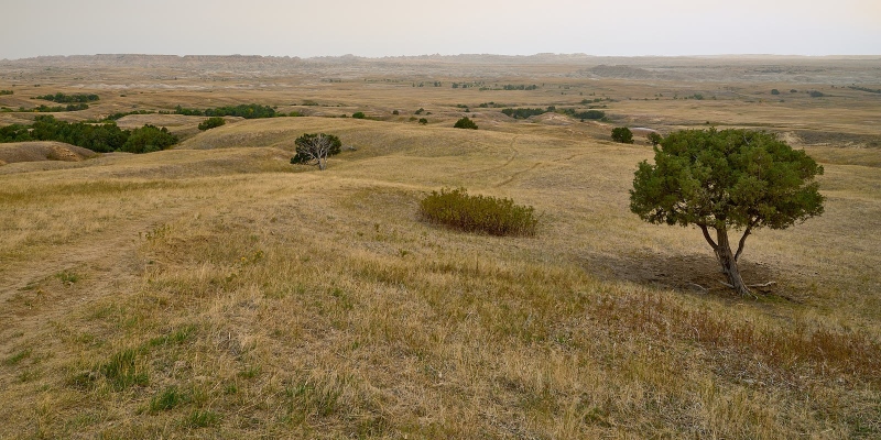 Sage Creek Basin & Badlands
