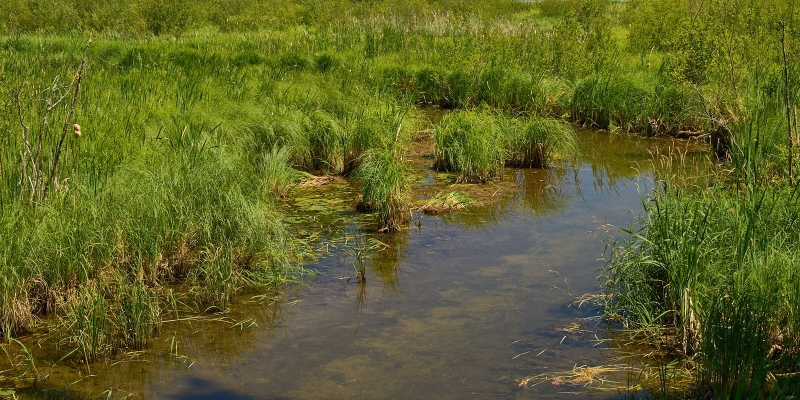 Start Of Old Man River