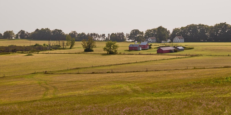 Carsten Burfiend Farm