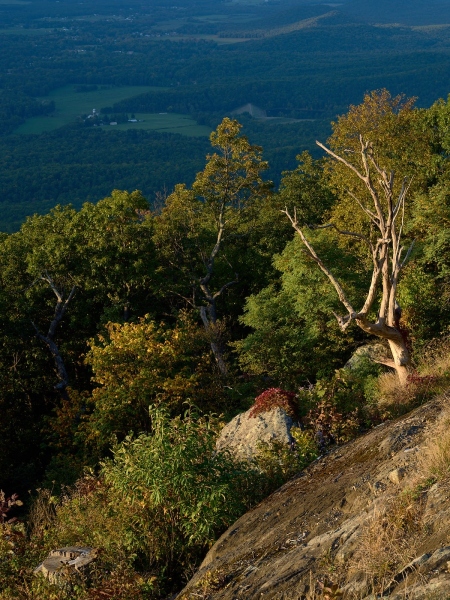 Rock Point Overlook