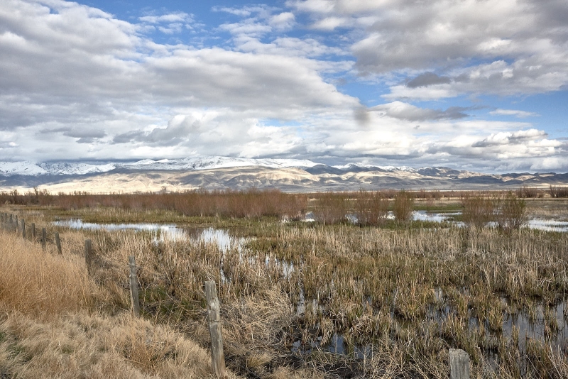 Wetlands & Stillwater Mountains, Stillwater Wildlife Refuge, Stillwater, Nevada