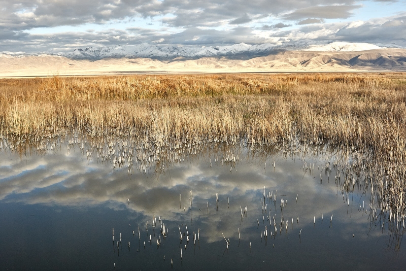 Wetlands & Stillwater Mountains, Stillwater Wildlife Refuge, Stillwater, Nevada