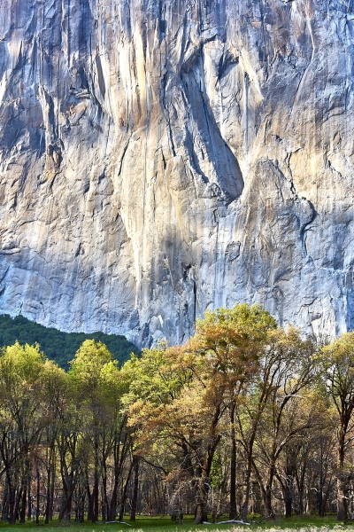 El Capitan Eye, El Capitan Meadow, Yosemite National Park, California