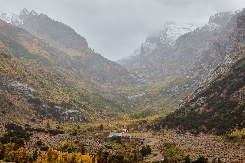 Foggy Fall Morning, South Fork Lamoille Canyon, Ruby Mountains, Humboldt National Forest, Nevada