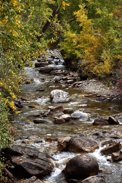 Lamolle Creek, Lamoille Canyon, Ruby Mountains, Humboldt National Forest, Nevada