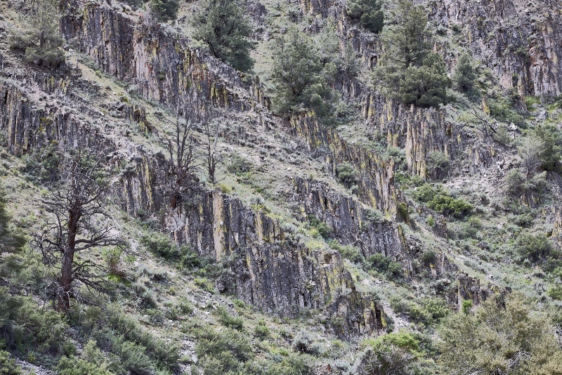 Basalt Ridges Along Canyon Wall, Carroll Summit Road, Desatoya Mountains, Lander County, Nevada