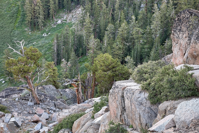 High Sierra View, Carson Pass, Hwy 88, Humboldt-Toiyabe National Forest, California