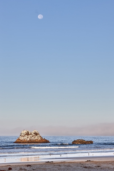 Sunrise Moon Over Rock With Sea Lions, Morro Rock Beach, Morro Bay, California