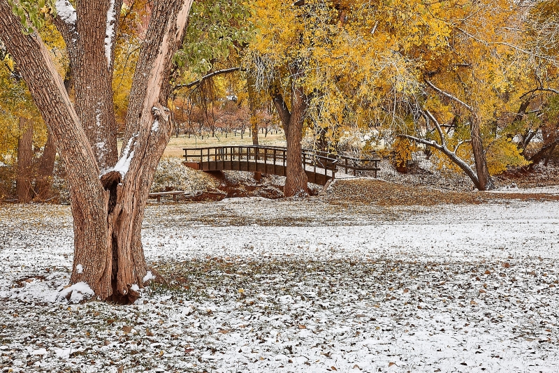 Footbridge Over Sulpher Creek, Fruita, Capitol Reef National Park, Utah
