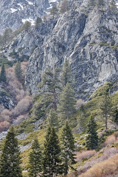 Trees & Mountain Above Emerald Bay, Emerald Bay, Lake Tahoe, California