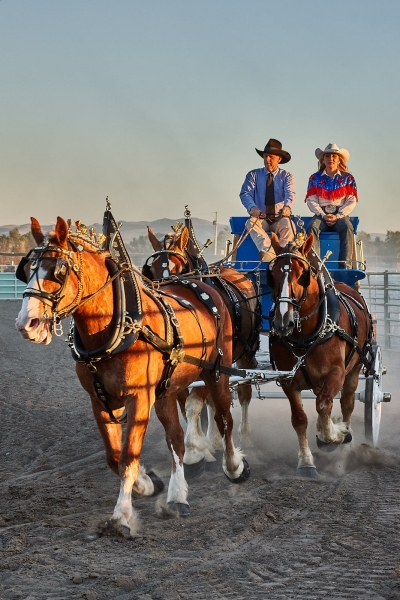 Jimmy Harper With His Unicorn Hitch, Churchill County Fairgrounds, Fallon, Nevada