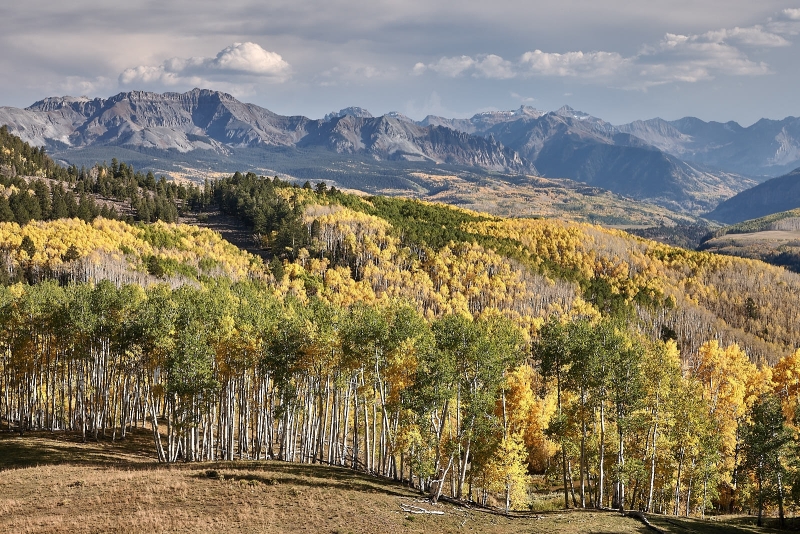 San Miguel Mountains, From Last Dollar Rd, Uncompahgre National Forest, Colorado