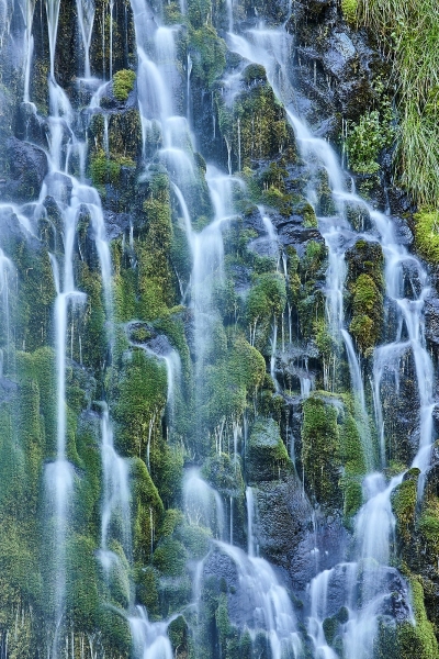 Lacy Curtain, Mossbrae Falls, Dunsmuir, California