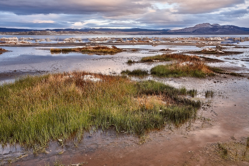 Old Tufa Islands, Black Point, North Shore, Mono Lake, California