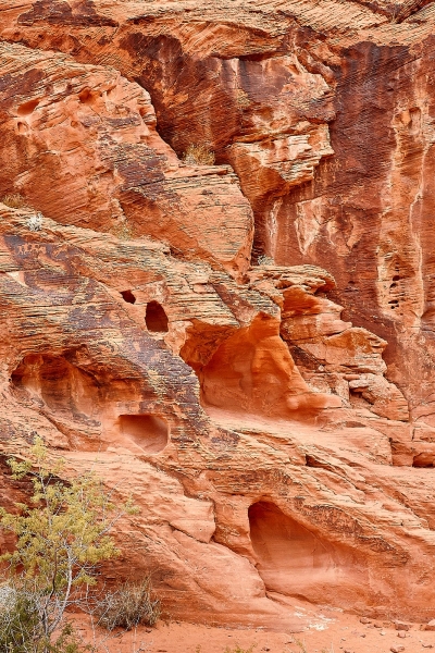 Petroglyph Wall, Petroglyph Canyon Trail, Valley Of Fire State Park, Nevada