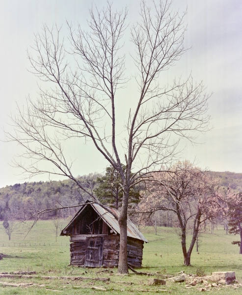 Old Log Shed, Springtime, Arkansas