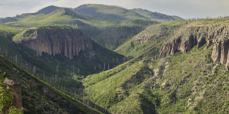 Spruce Canyon